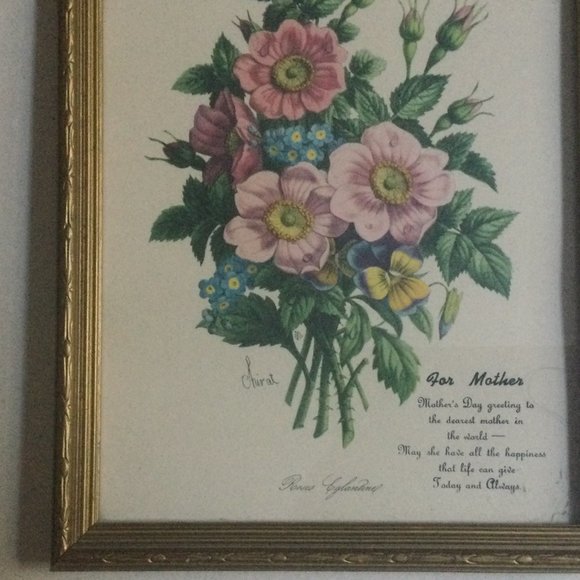 Vintage Chirat Botanical flowers lithography print for mother poem framed - Picture 3 of 6